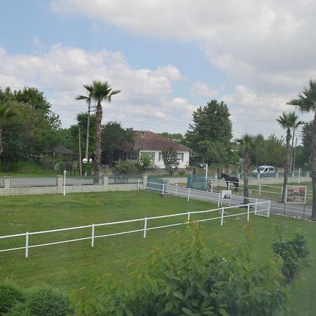 Serbesler Botanik, No 1 Comfortable Villa Sakarya  Kültér fotó