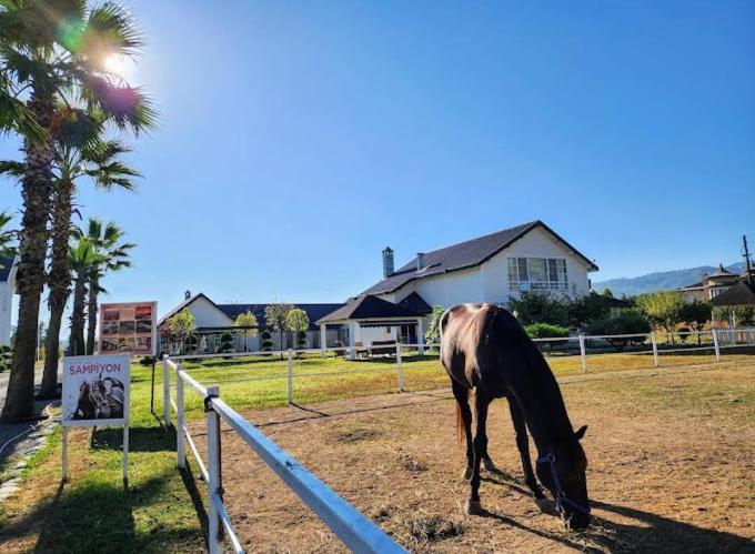 Serbesler Botanik, No 1 Comfortable Villa Sakarya  Kültér fotó