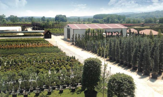 Serbesler Botanik, No 1 Comfortable Villa Sakarya  Kültér fotó