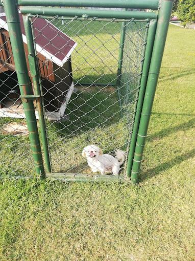 Serbesler Botanik, No 1 Comfortable Villa Sakarya  Kültér fotó