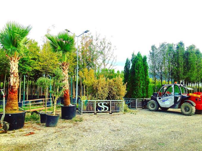 Serbesler Botanik, No 1 Comfortable Villa Sakarya  Kültér fotó